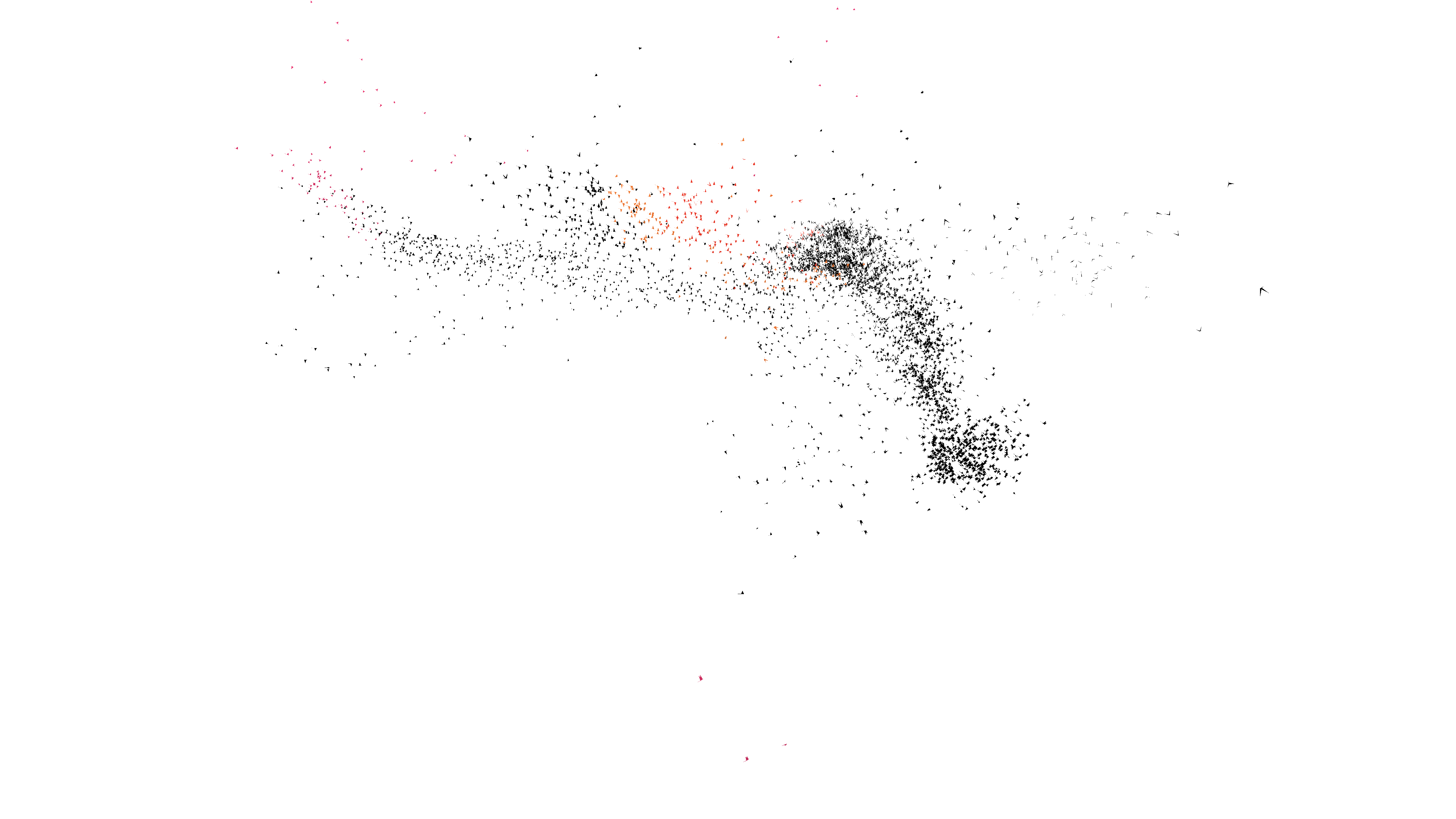 Die Murmuration in Aktion
