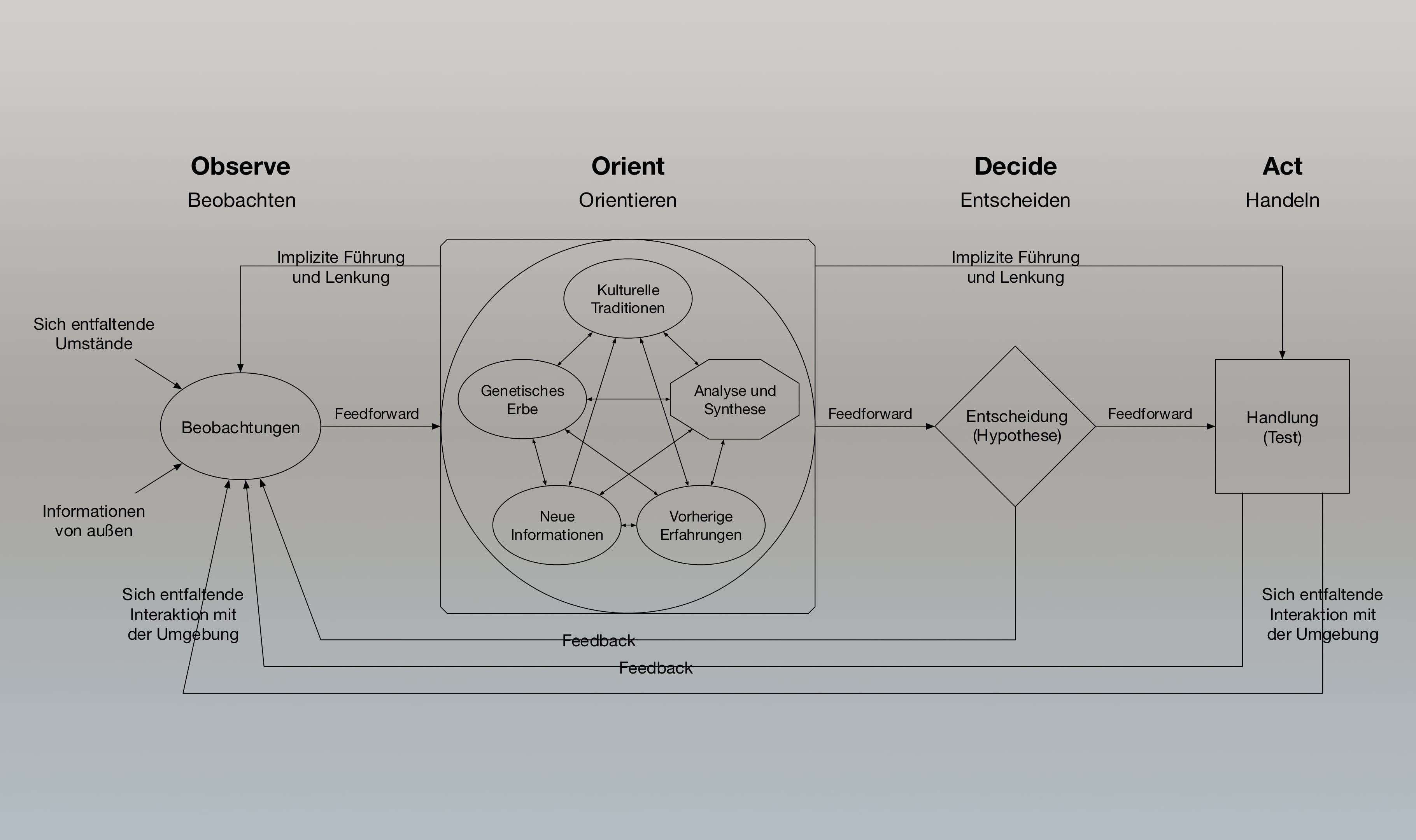 Der OODA-Loop in deutscher Übersetzung