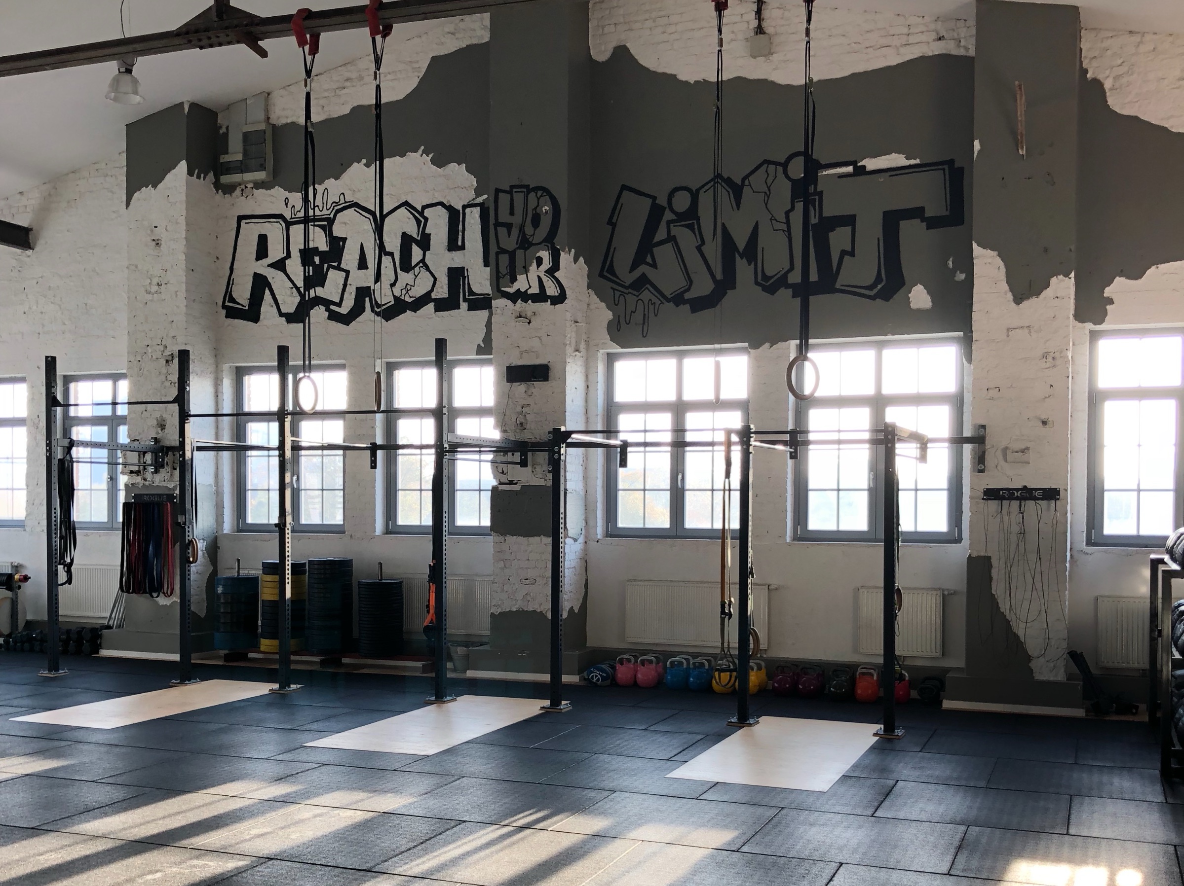 Das „Rig“ im Gym